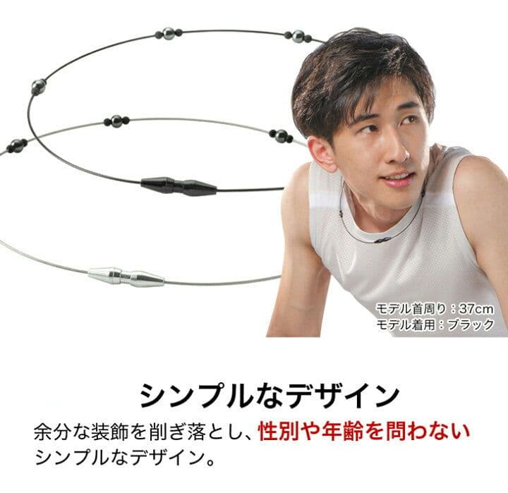 phiten正規品 rakuwaネック ステーション ５０cm シルバー