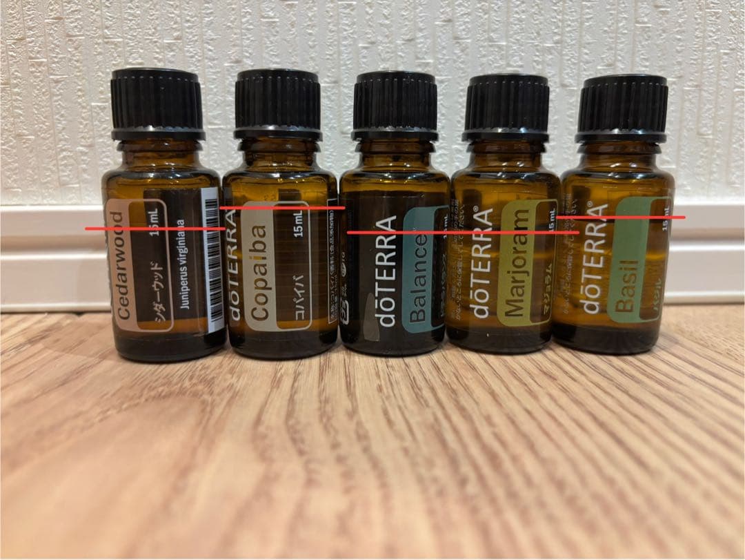 doTERRA エッセンシャルオイル収納ボックス 25本