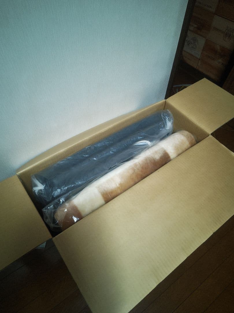 未使用 富士通 HC-20VWD-C ホットカーペット 長期保管品