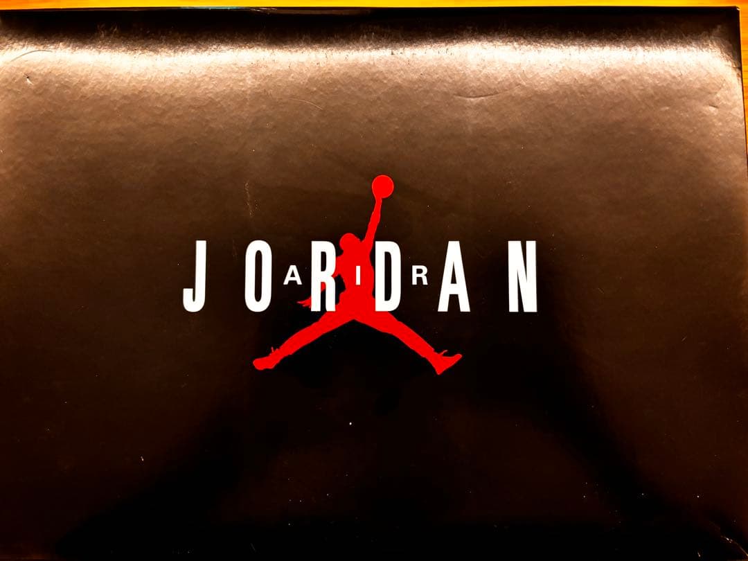 Air Jordan 11 Retro Cherry 広瀬すず着用