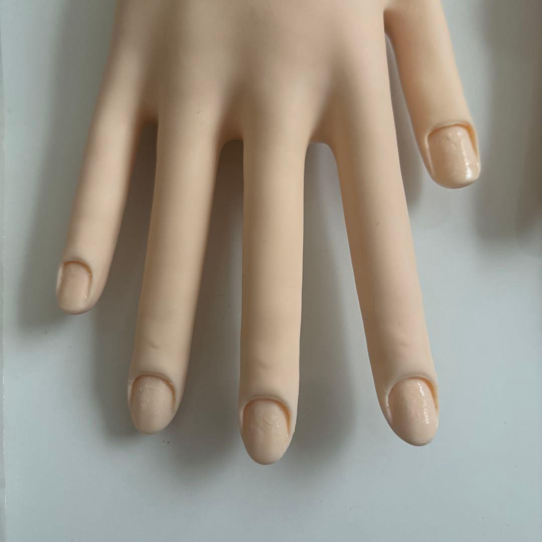 JNEC認定モデルハンド　両手　未開封付属チップ付き