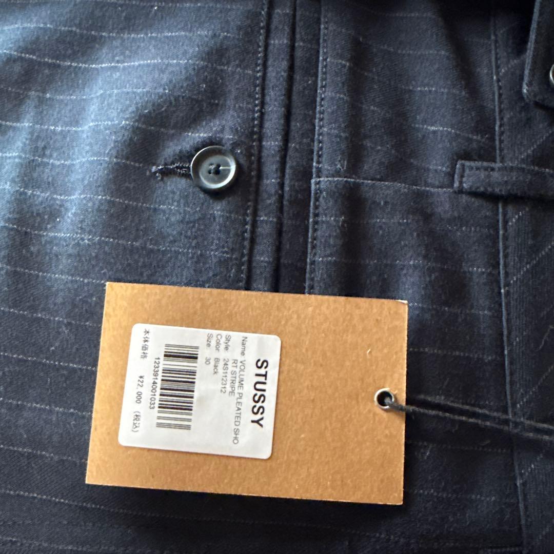 パンツ Stussy Volume Pleated Short Stripe Black