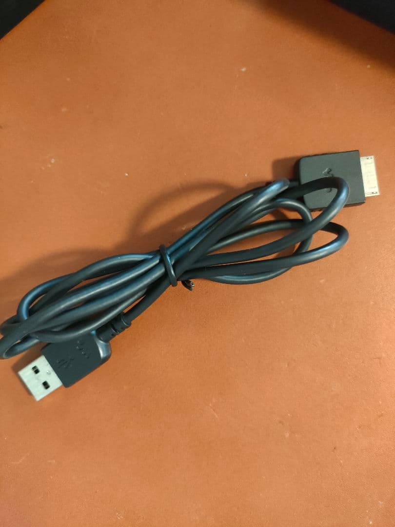 SONY ウォークマン NW-WM1A