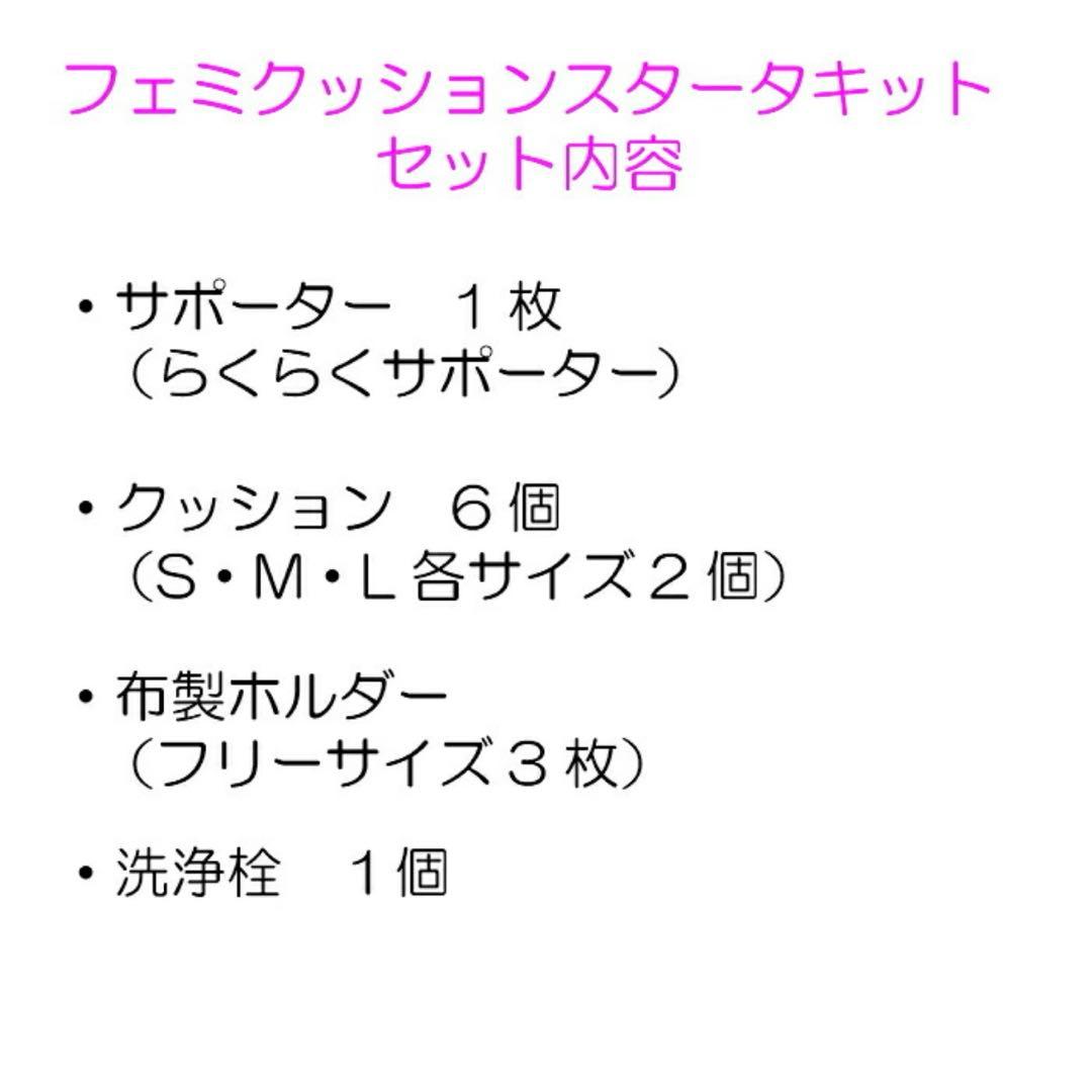 【定価33000円】フェミクッション　らくらくスターターキット　ブラック
