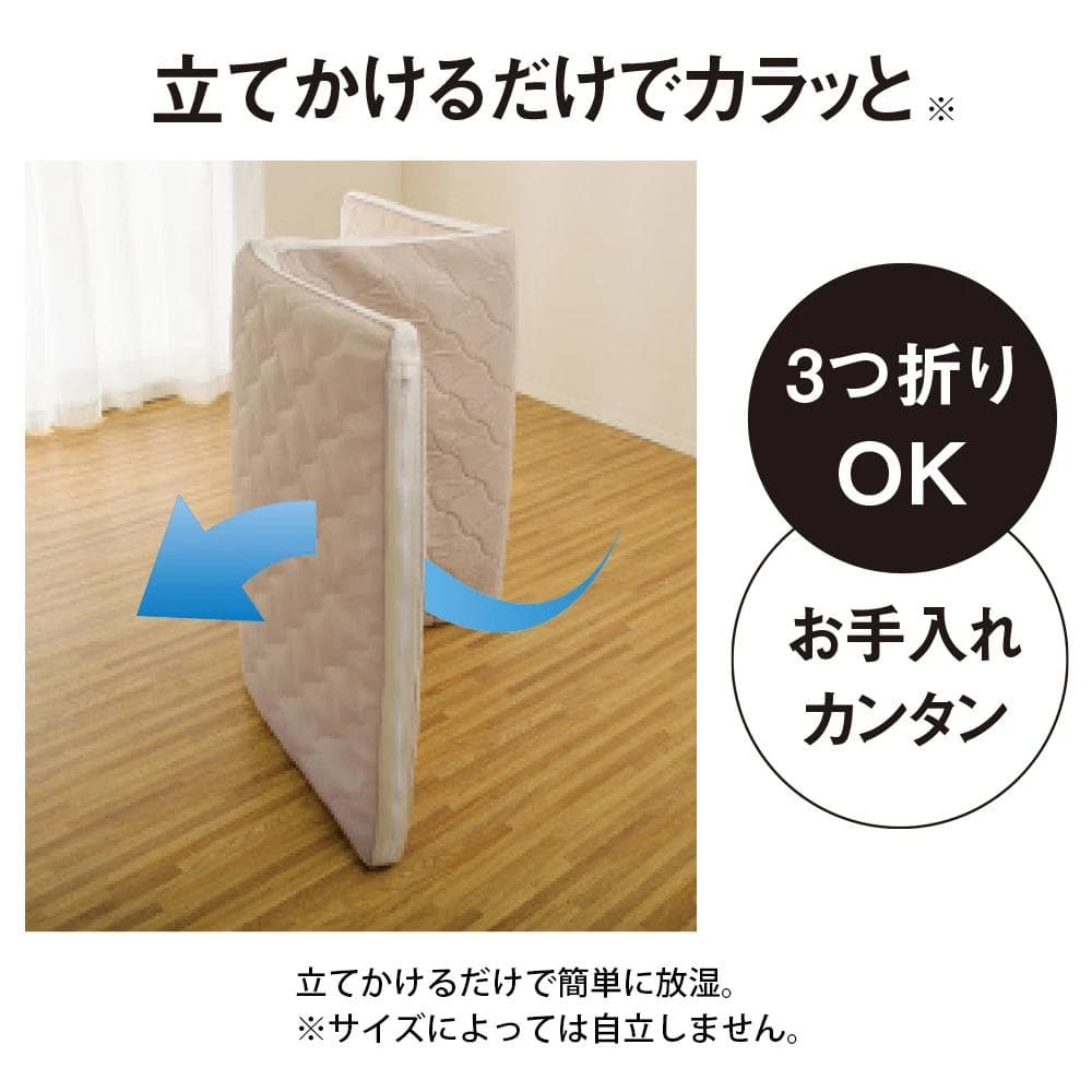 ✅美品・おまけ付✅【ブレスエアー®】敷布団 NEO+ /ネオプラス ダブルサイズ