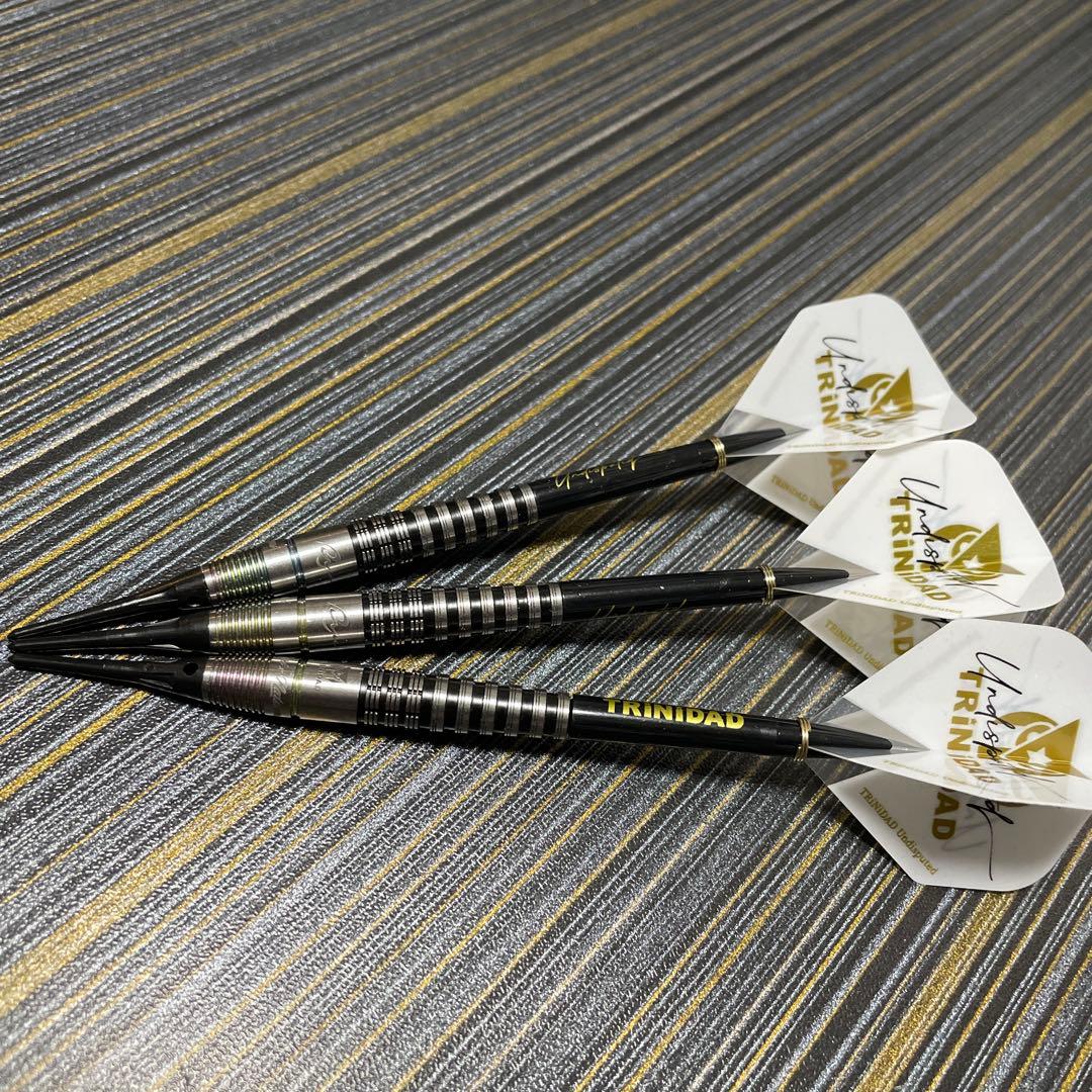 定価15800円 ソフトダーツ トリニダード リュウ ロメカリ3