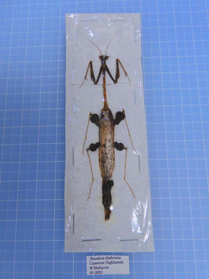 kawara198様 リクエスト 4点 まとめ商品