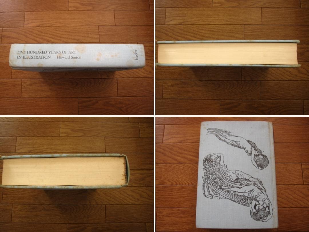 アート・デザイン・音楽 Five Hundred Years of Art in Illustraton