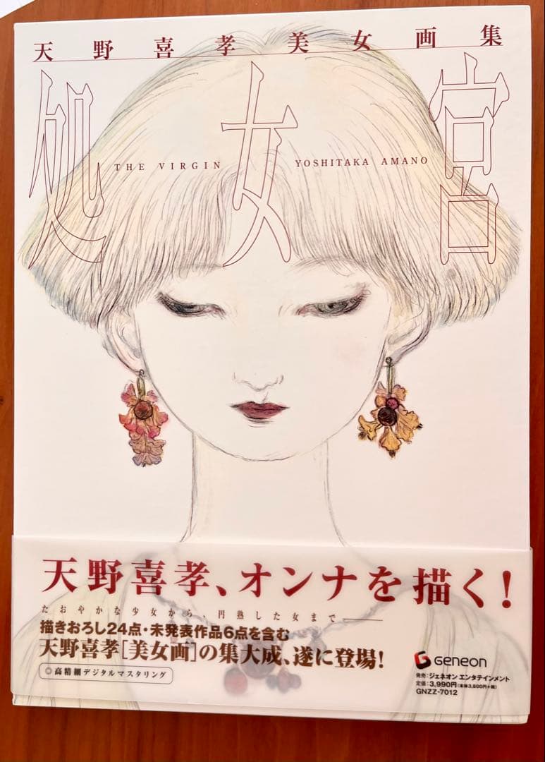 天野喜孝　美女画集　処女宮　画集　初版第1刷　帯付き　ケース付き