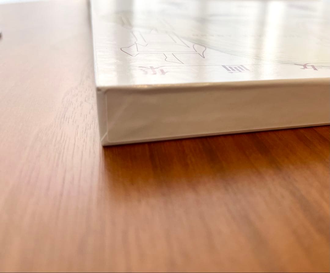 天野喜孝　美女画集　処女宮　画集　初版第1刷　帯付き　ケース付き