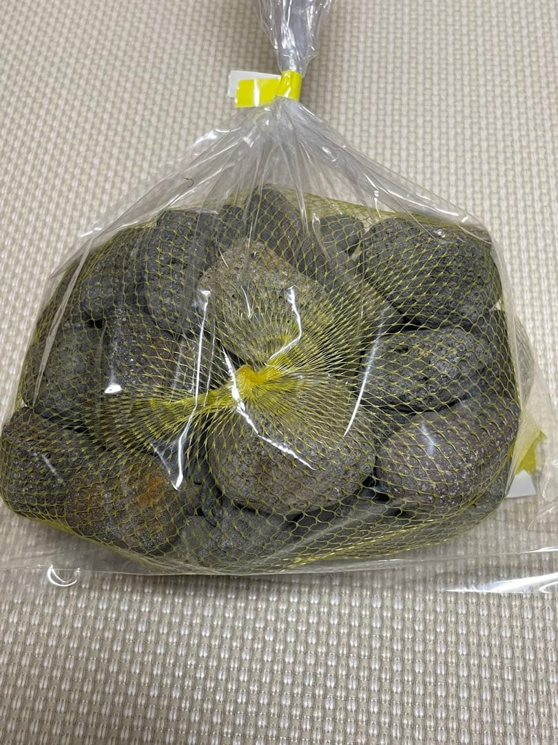 秋田県玉川温泉の溶岩石「焼山石」3kg 薬石