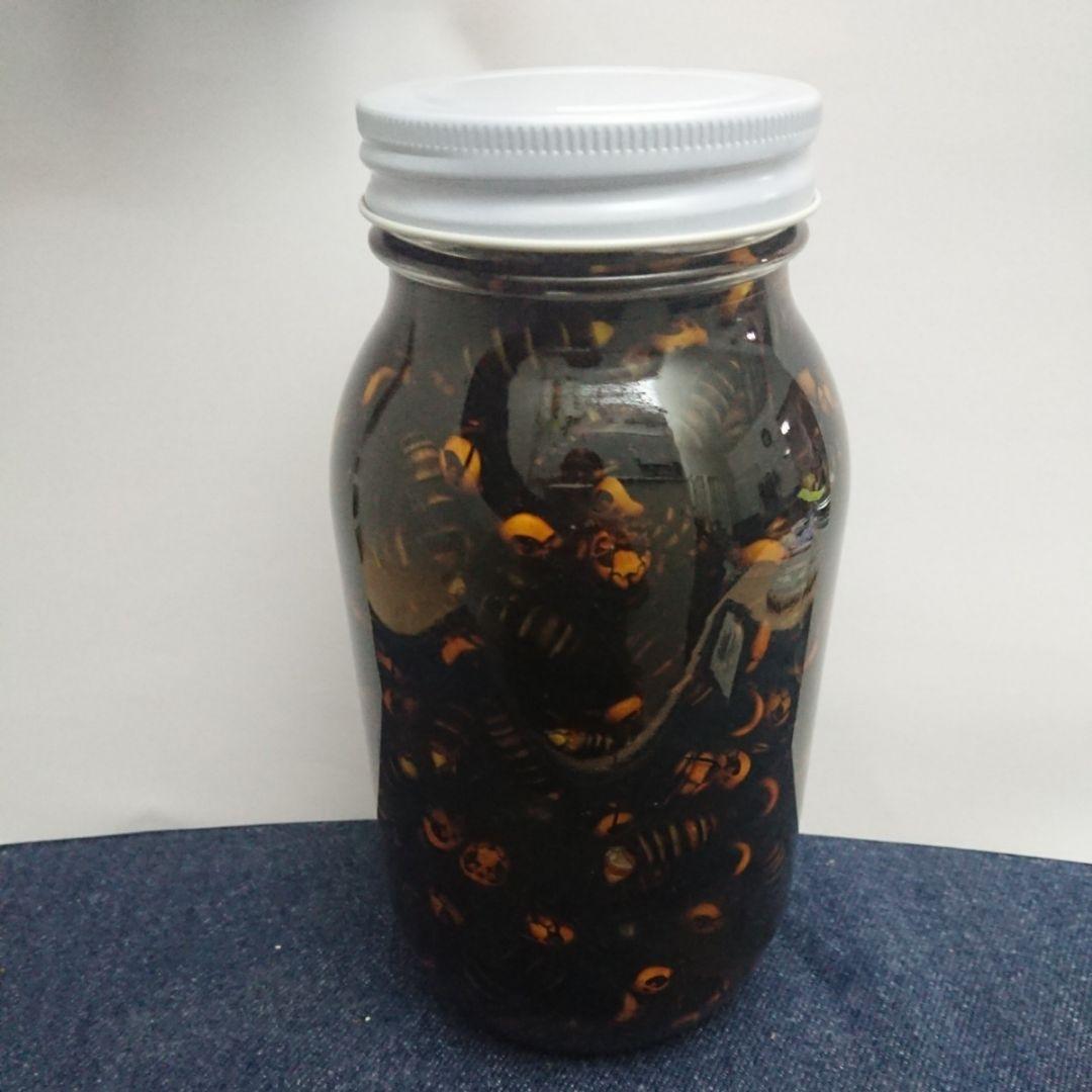 残り2本【150匹】オオスズメバチ焼酎