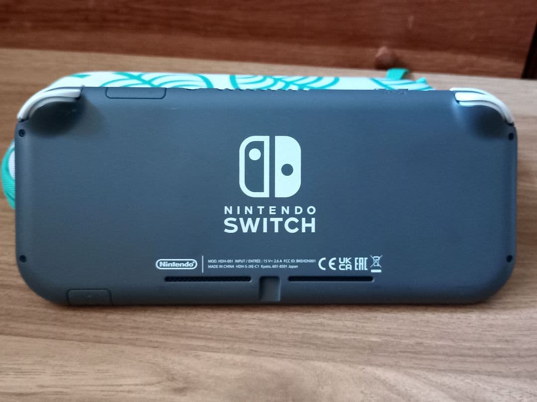 Nintendo Switch Lite グレー ケース ガラスフィルムが付き