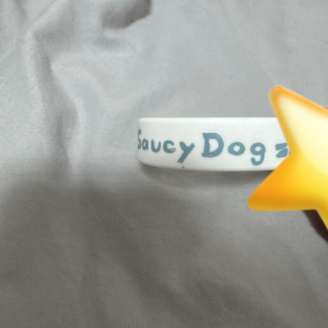ミュージシャン SaucyDog