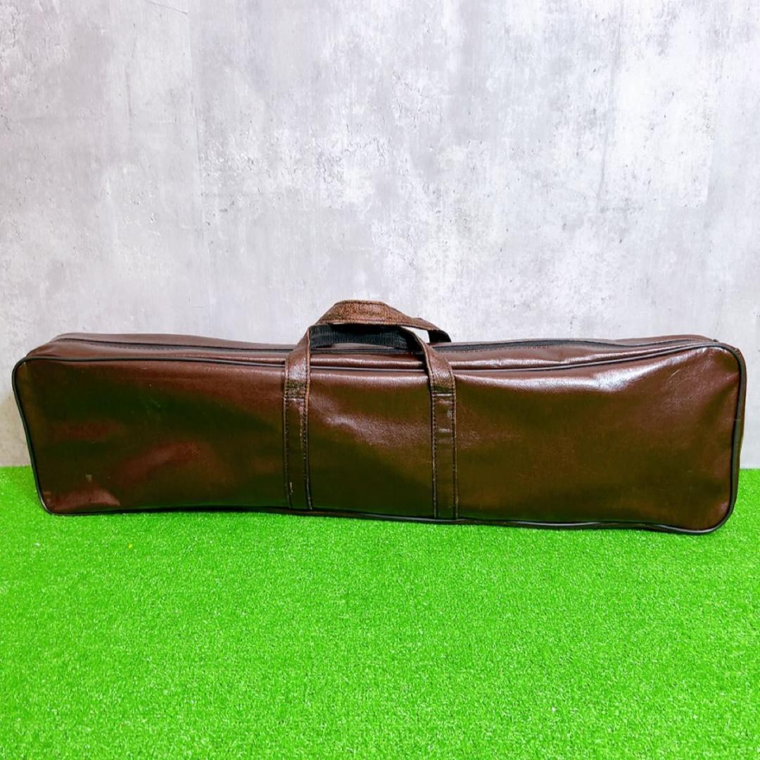 伽琴　カヤグム 和楽器 弦楽器　民族楽器　韓国　12弦　ケース付き