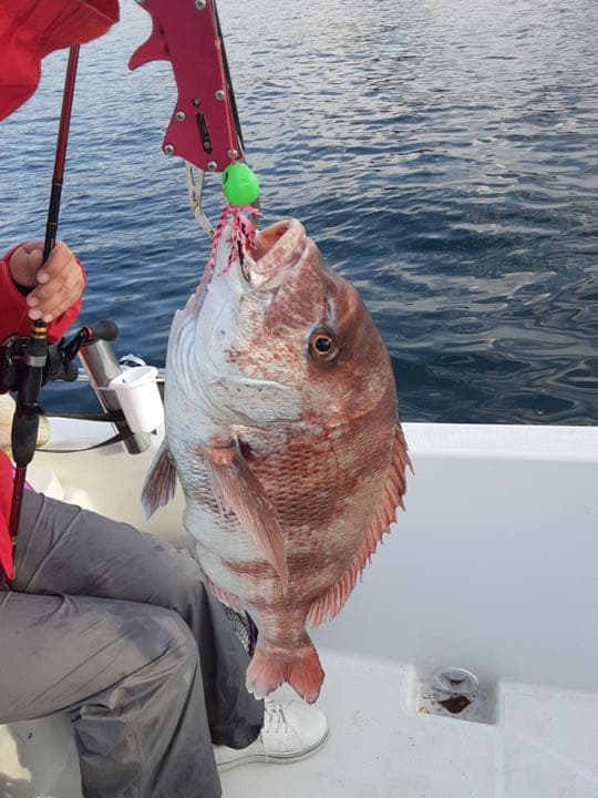 タイラバヘッド  タングステン　新色