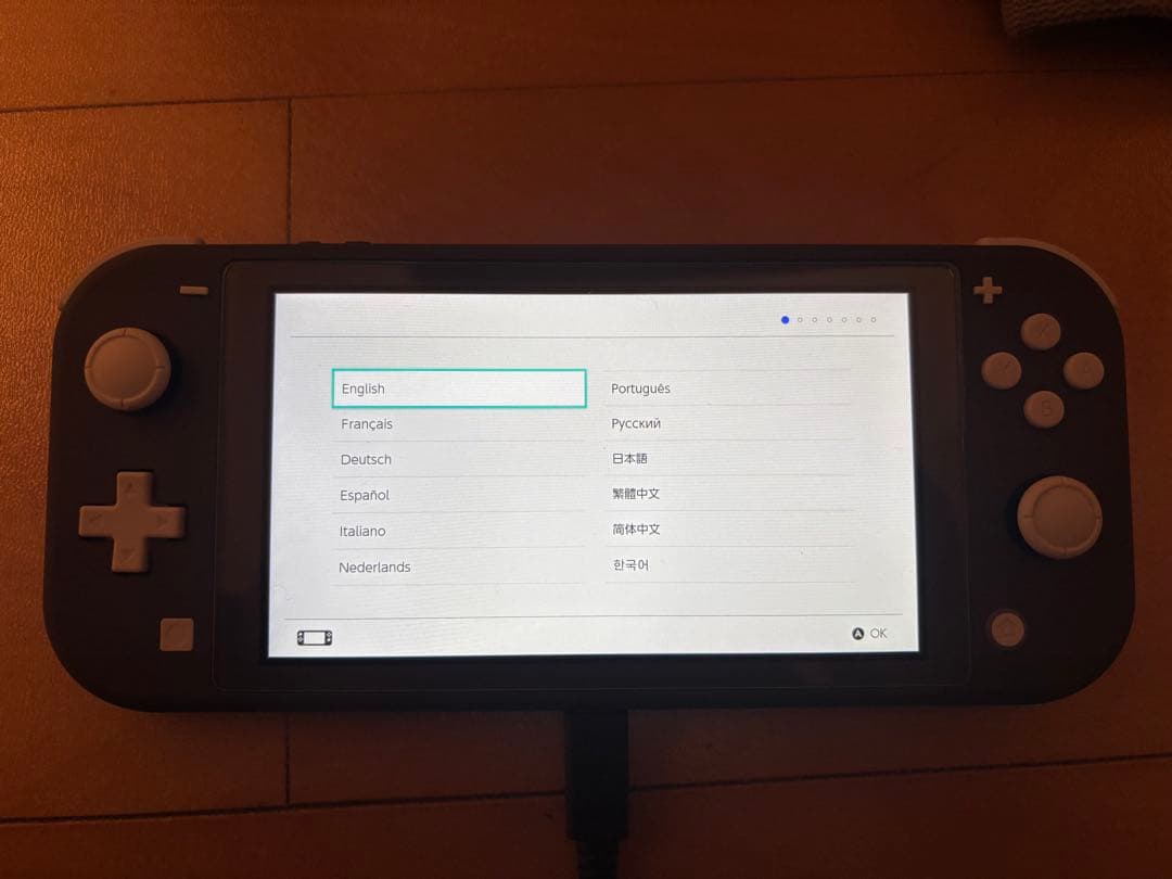 ニンテンドー Swich Lite グレー 付属品