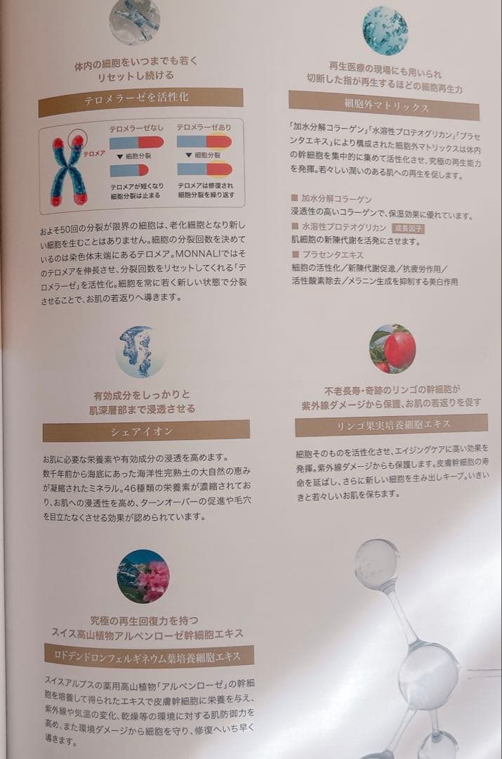 MONNALI TR50シリーズセット