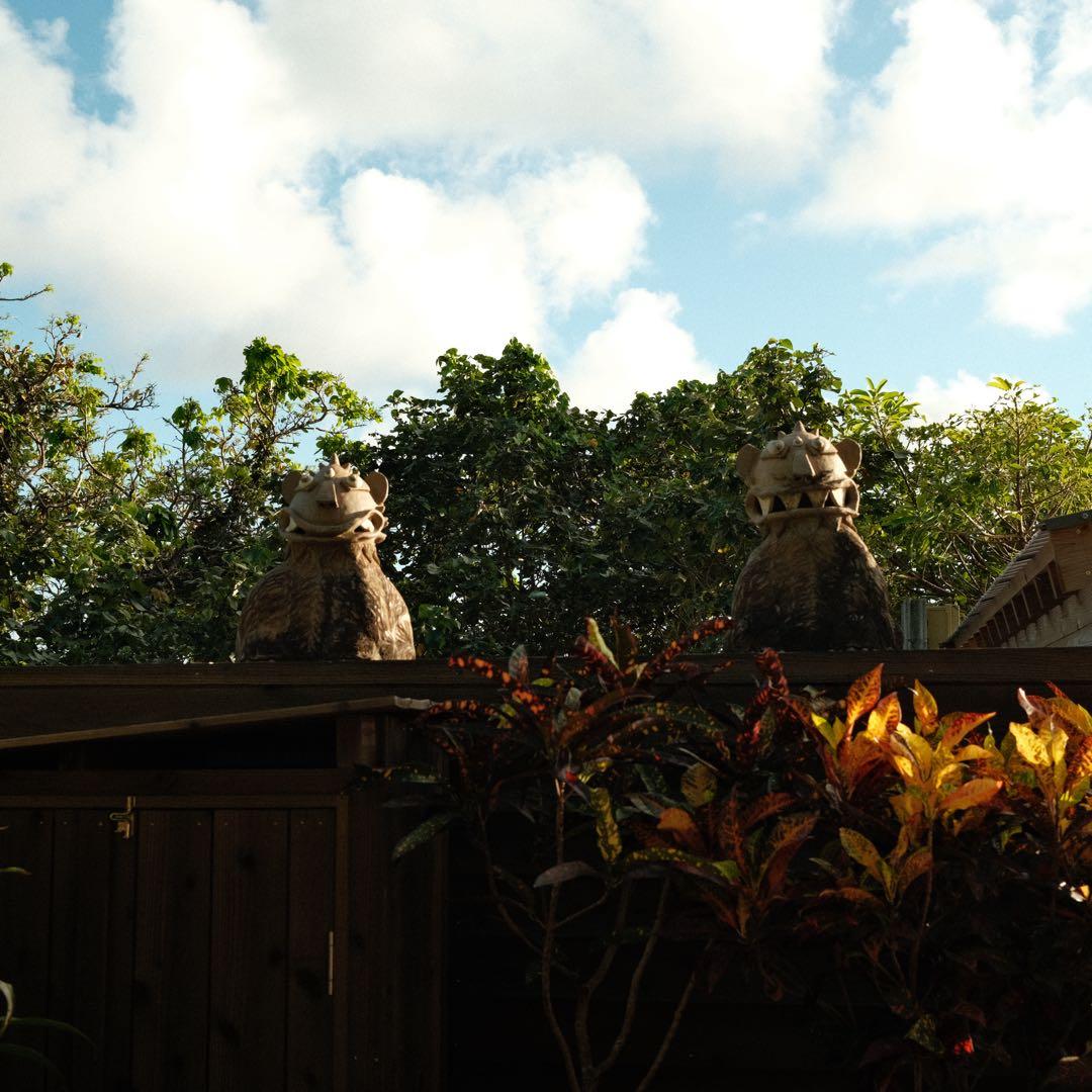 Fujifilm X100V シルバー