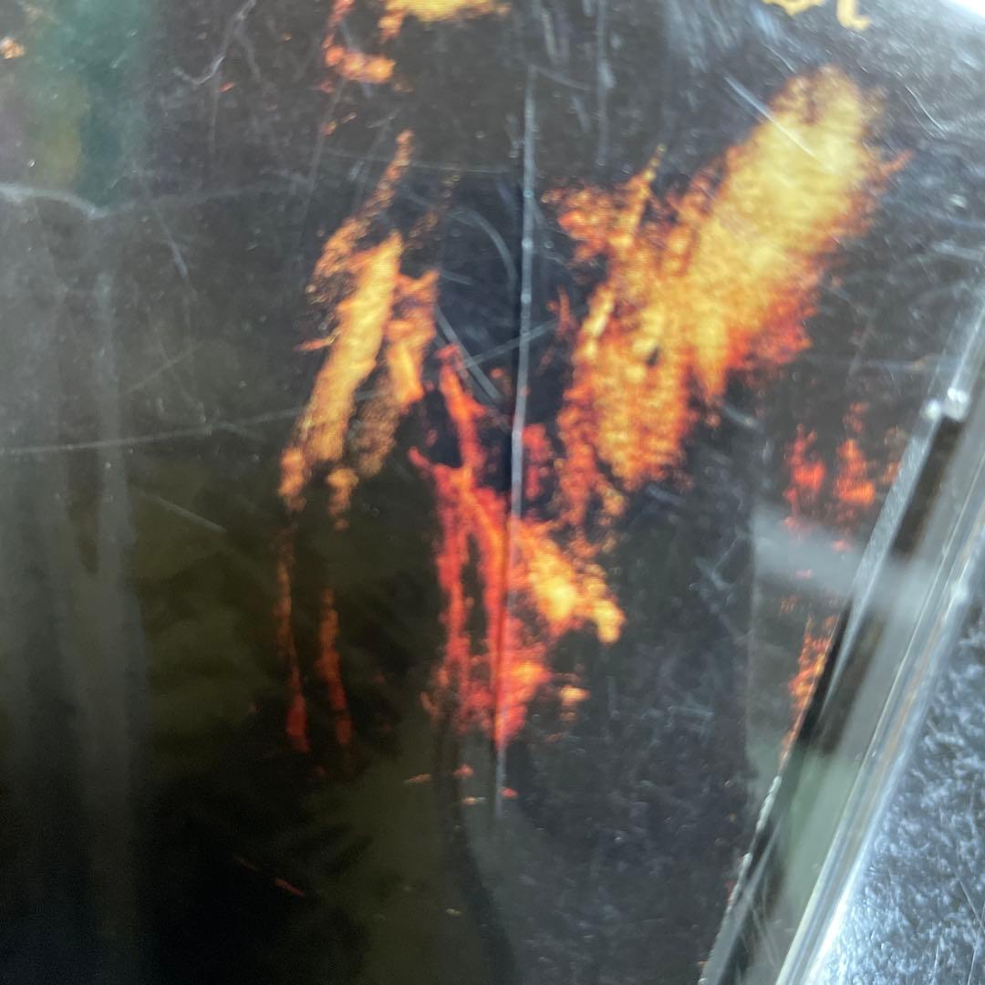 洋楽 PARADISE LOST - GOTHIC