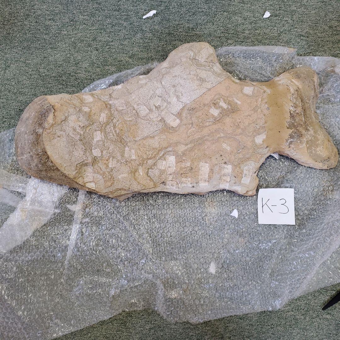 魚の化石 K-3