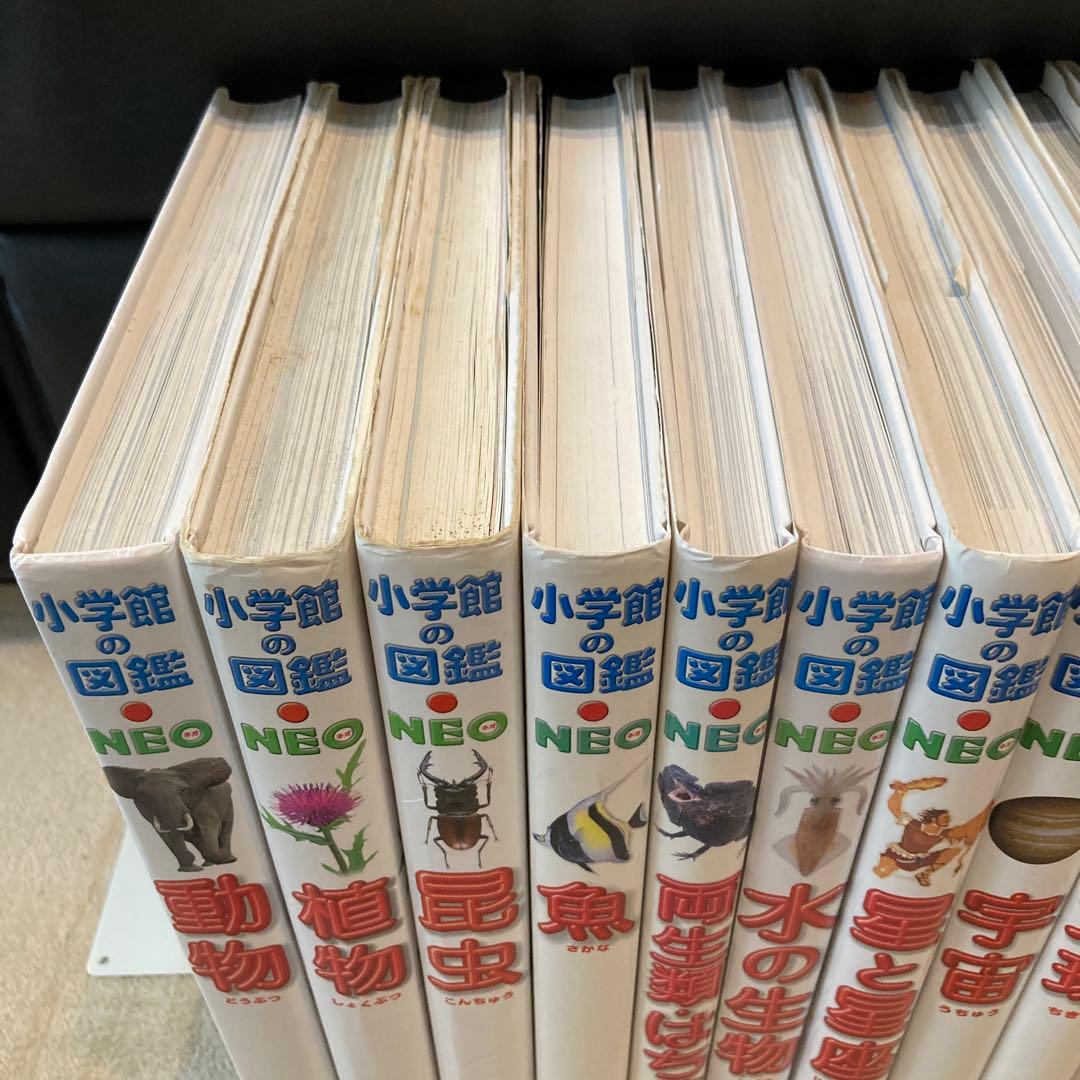 【15冊セット】小学館の図鑑NEO／NEOぷらす