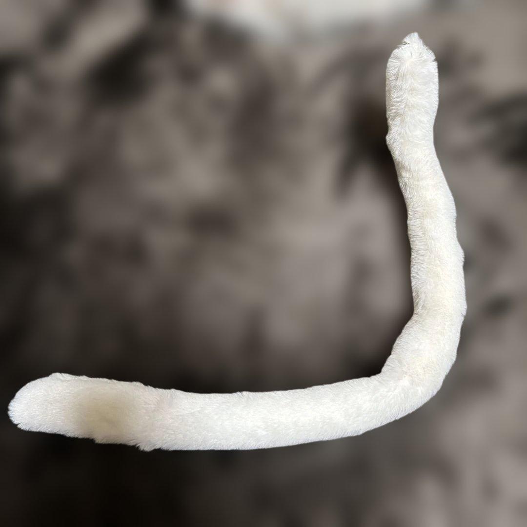 Malymoon コスプレ サンタ クリスマス 猫 ネコ耳 キャット ホワイト