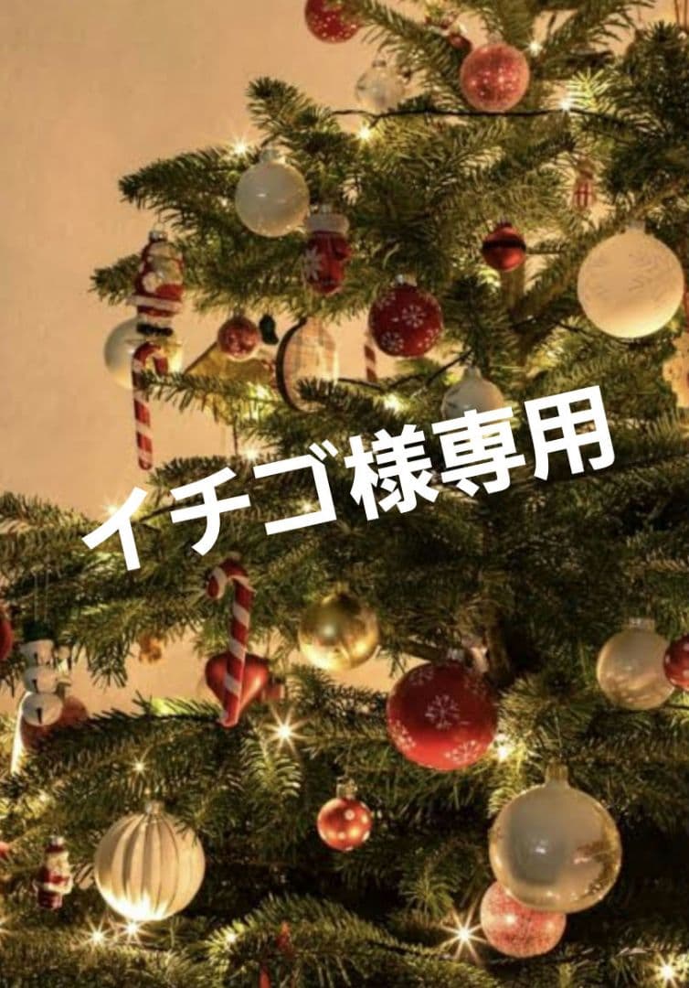 パーリーゲイツ専用ページ