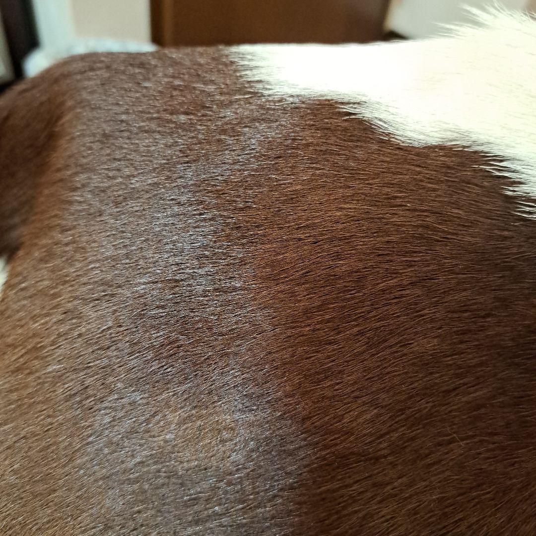 牛革ラグ カウラグ リアルファー 茶色と白