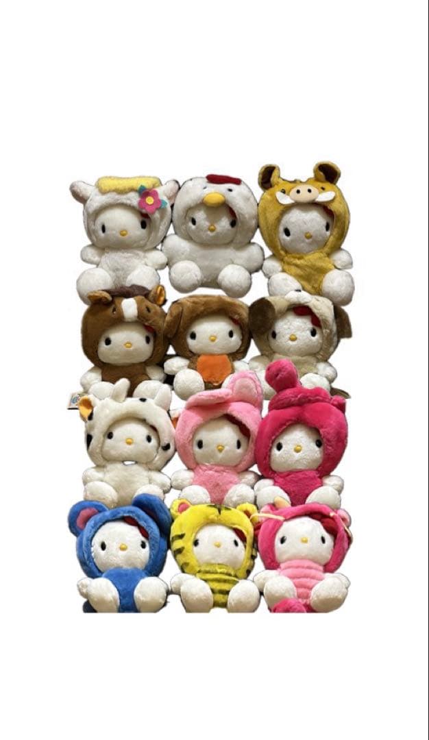 【激レア・タグ付き】アキ13点