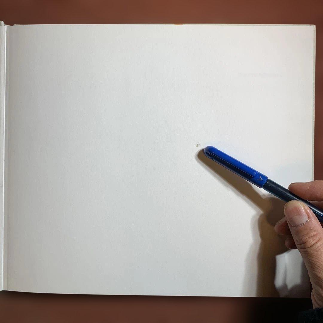 アート・デザイン・音楽 Beatriz Milhazes Paulo Herkenhoff