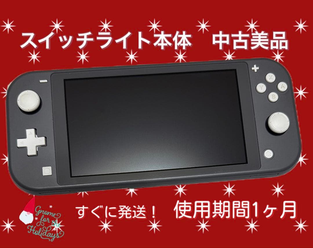 任天堂❗️Switch Lite❗️本体のみ☆中古美品☆スイッチライト