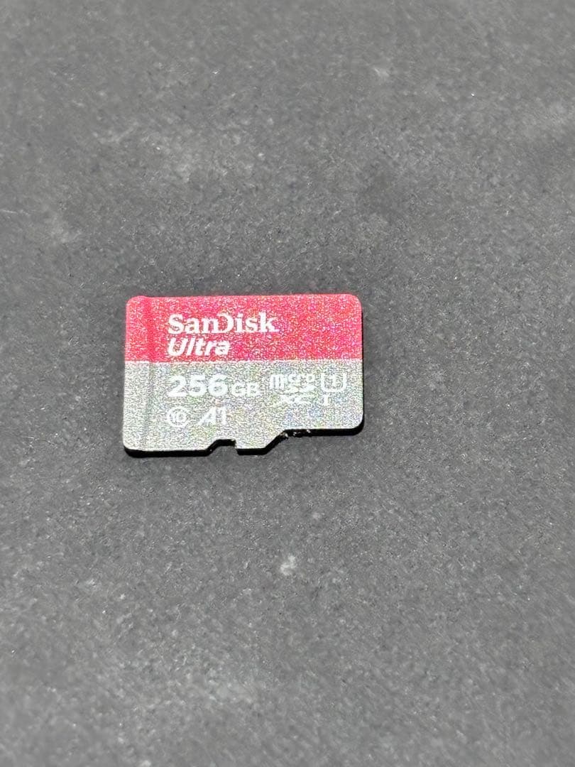 Nintendo Switch Lite 本体 ポケモン限定版MicroSD