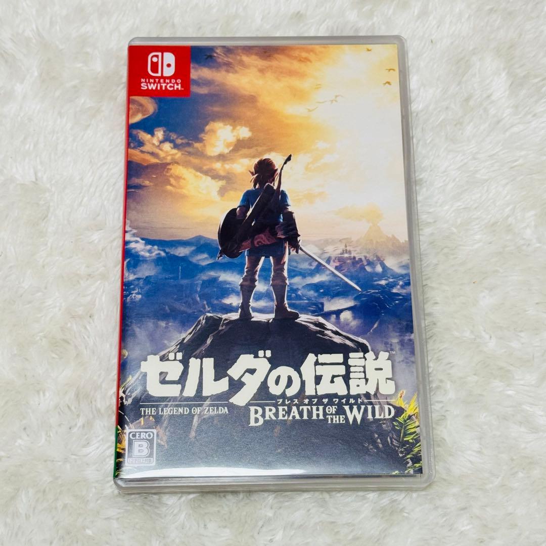 あつまれ どうぶつの森 Nintendo Switch