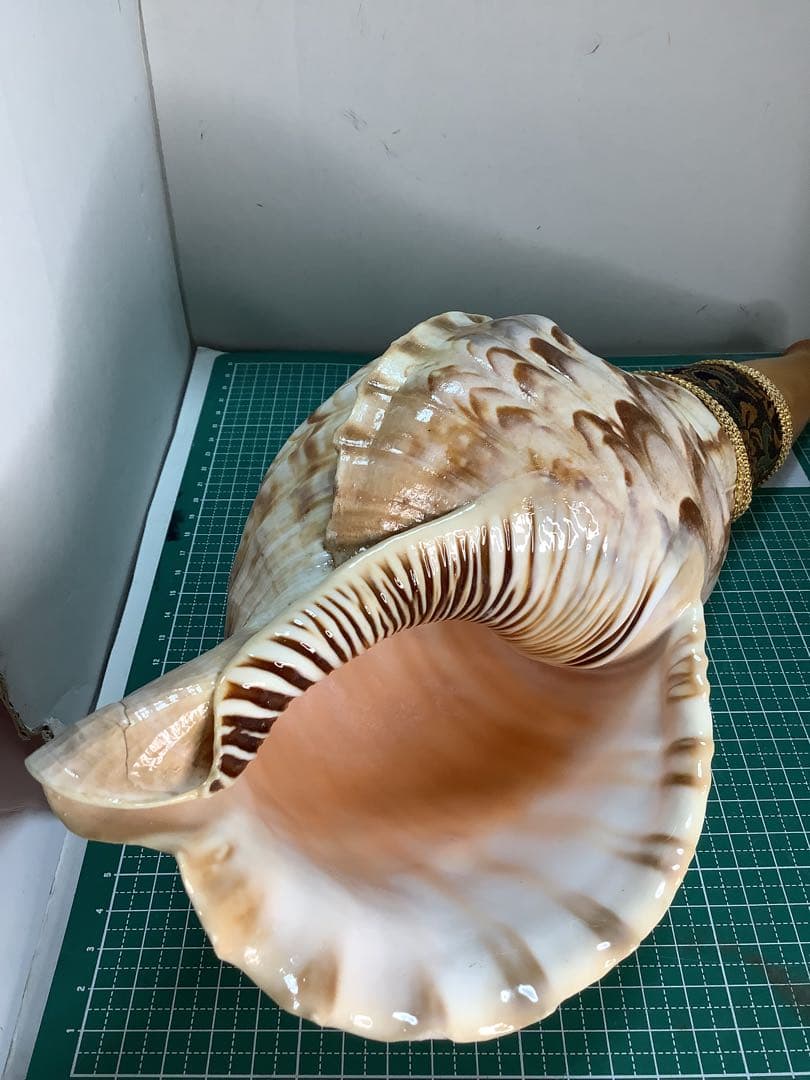 ヤフメリ48・法螺貝・山伏・修験者・金峯山・羽黒山・戦国武将・縁起物・魔除・熊除