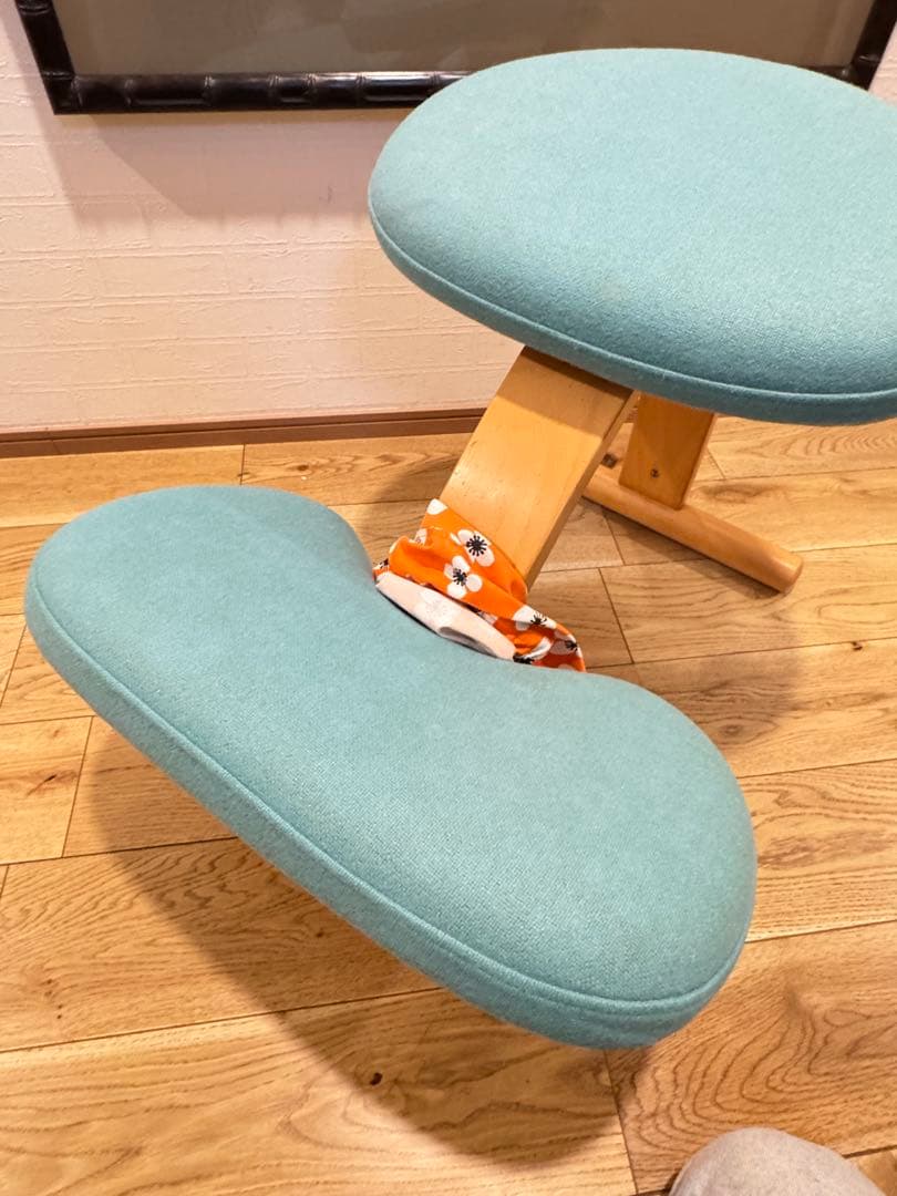 【美品】Rybo Balans EASY バランスチェア 金ロゴ カバー付