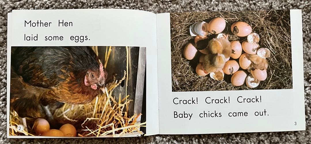 Heinemann G1 (英語絵本110冊+マイヤペン)