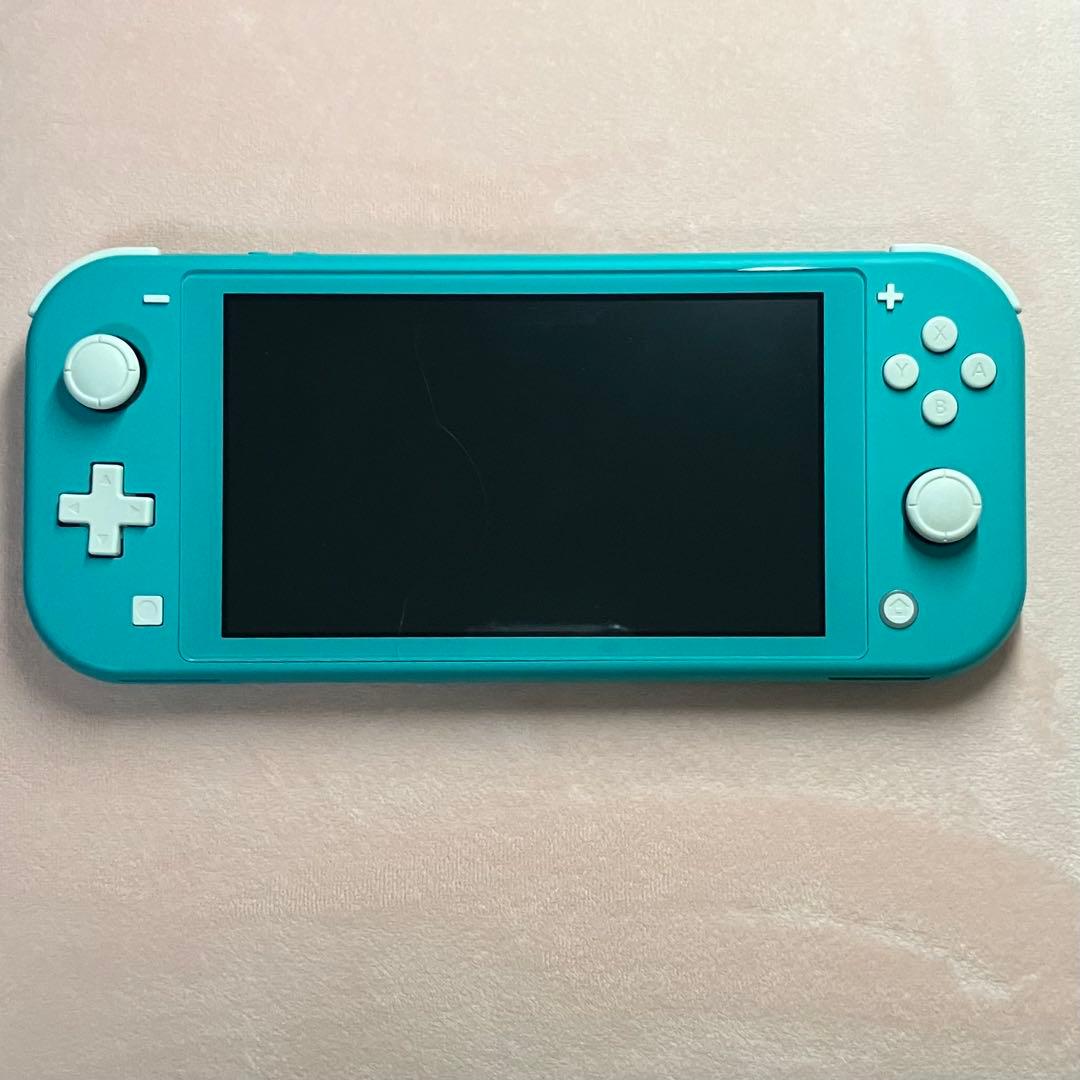 Nintendo Switch switch light