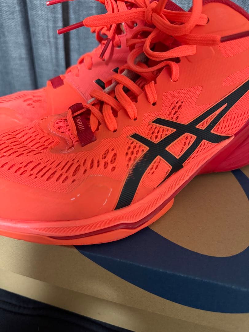 【限定】アシックス バレーボールシューズ