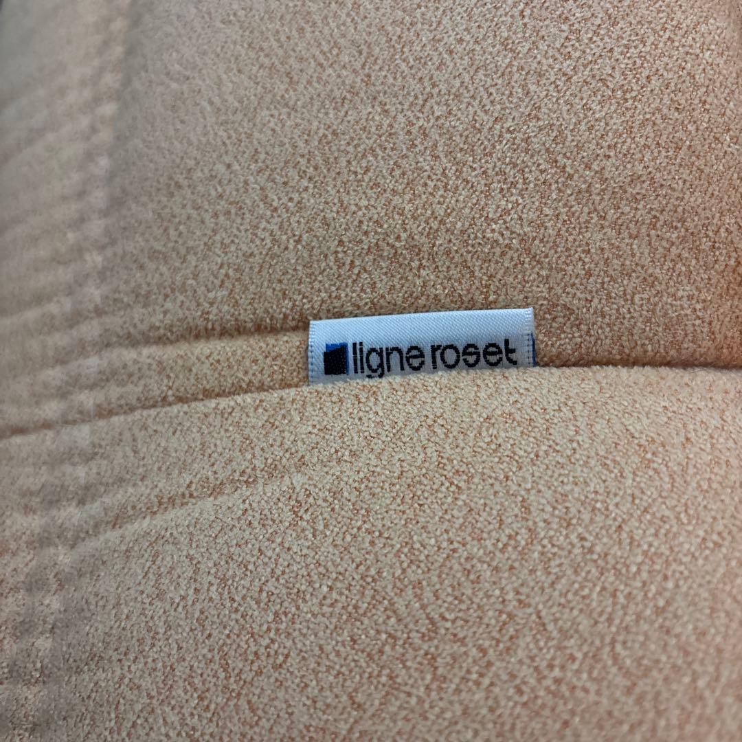 ROSETTOGO 2P ligne roset ウルトラスウェード