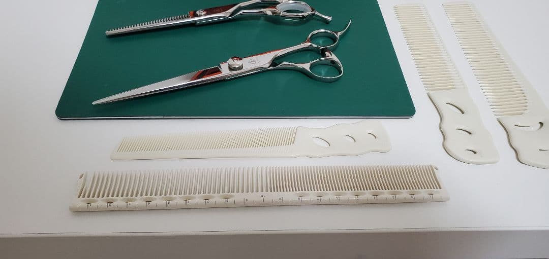 ミズタニシザー　セット