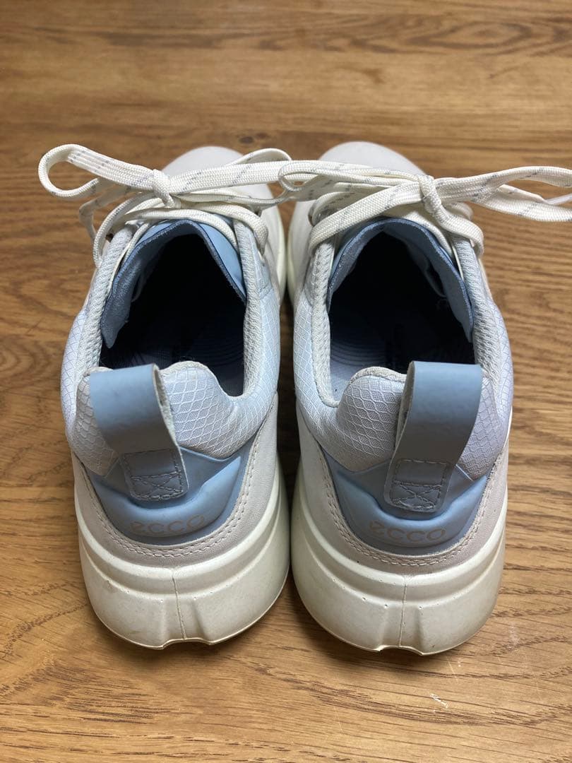 ECCO エコー ゴアテックス ゴルフシューズ Gore-Tex