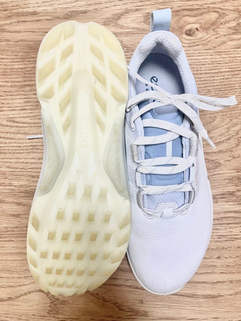 ECCO エコー ゴアテックス ゴルフシューズ Gore-Tex