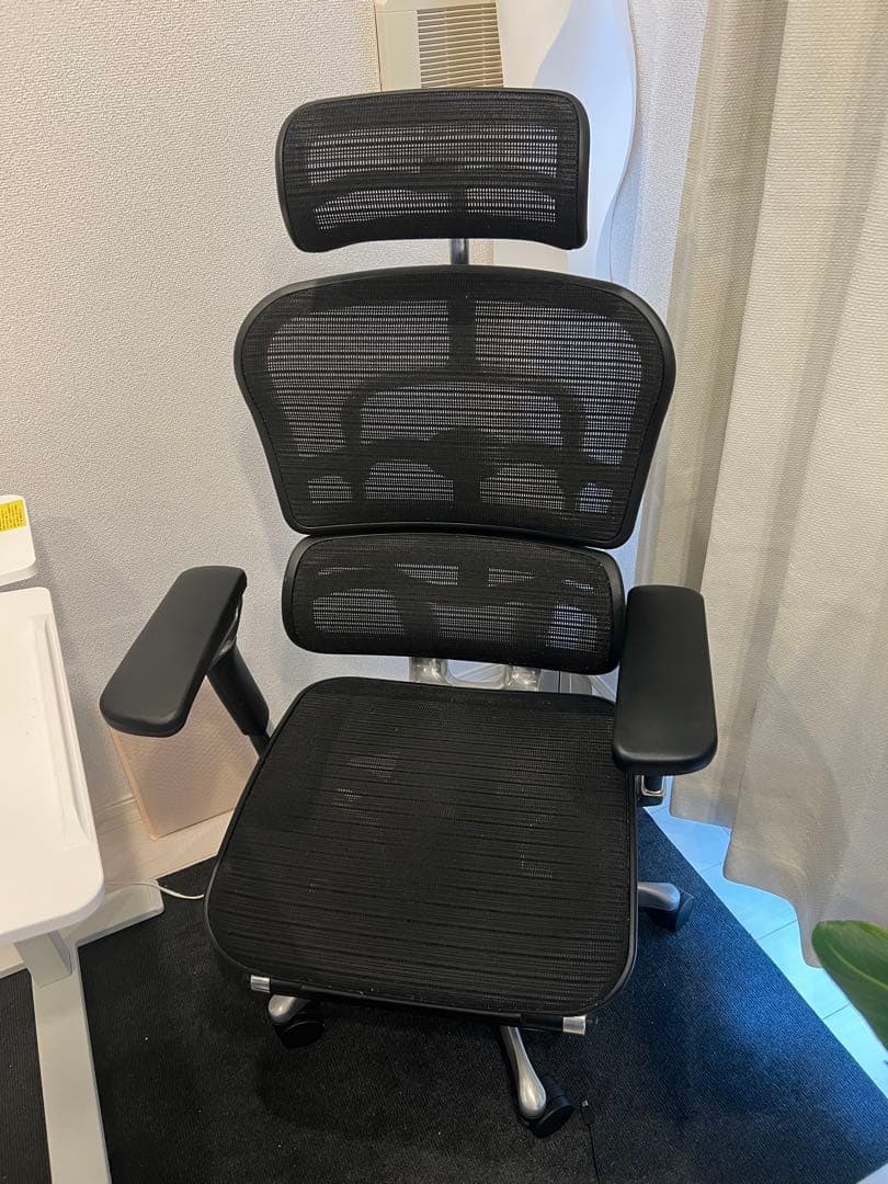 矯正用品・補助ベルト Ergohuman