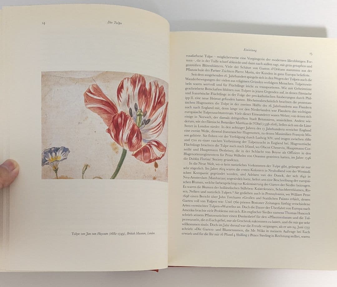 洋書　Die Tulpe. Eine Kulturgeschichte