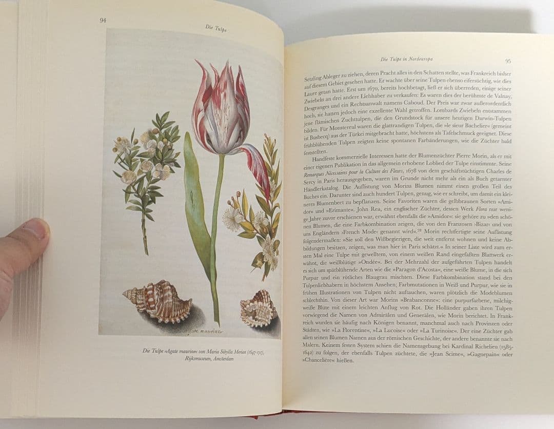 洋書　Die Tulpe. Eine Kulturgeschichte