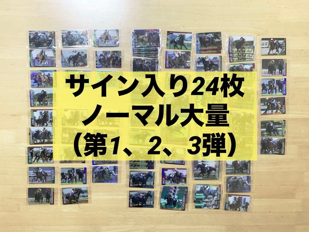 り*う様 サイン24枚＆ノーマル大量 第1、2、3弾（R） サラブレッドホースコ
