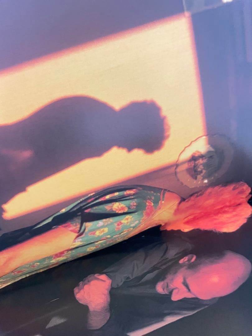 悪魔の遊び場 ナン・ゴールディン