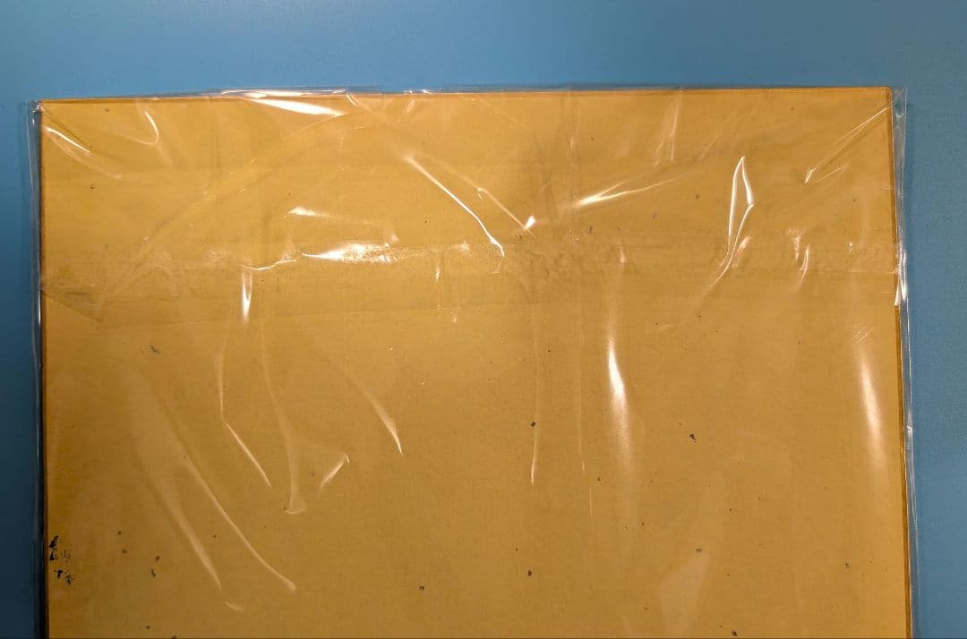 【非売品】スターダム/STARDOM　なつぽい&安納サオリ　足跡色紙