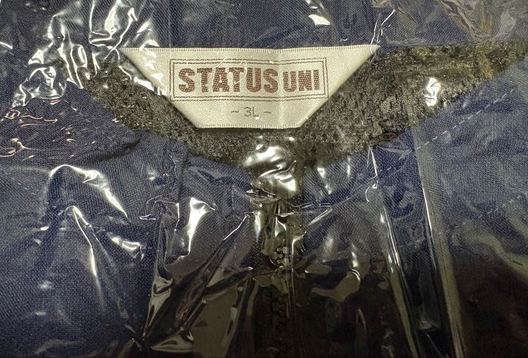 新品　STATUS UNI空調服 ベストFan&Butteryセット 3L